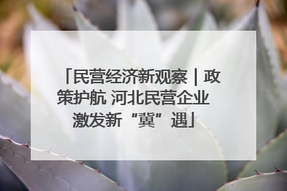 民营经济新观察｜政策护航 河北民营企业激发新“冀”遇